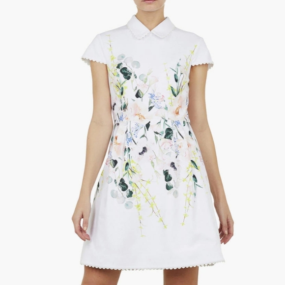 🍒NWT🍒 TED BAKER ELEGANCE FIT & FLARE DRESS - Picture 3 of 9